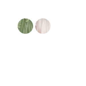Hortensia 1022